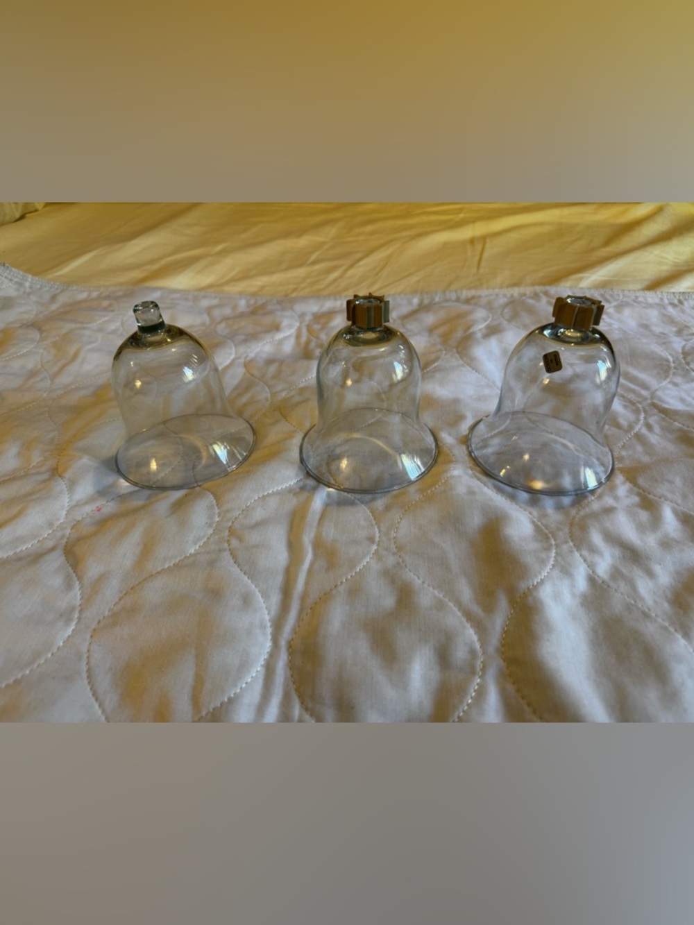 Clear Glass Cloche Set - Transparent Bell Display (3-Pack)